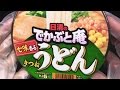 日清のでかぶと庵 きつねうどん