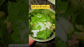 कडीपत्ता चटणी | kadipatta chatani | curry Leaves chutani | healthy chutney