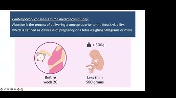 Abortion | Lecture by Prof. Farrukh Zaman