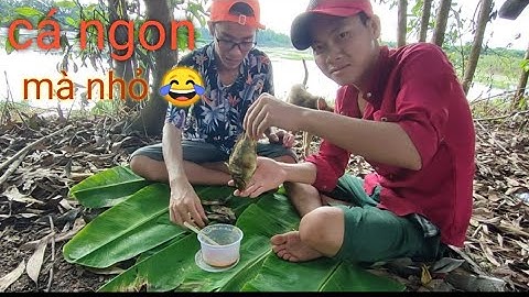 đi câu trúng ngay ổ cá rô phi mà là cá nhỏ ko 😂😂😂😂