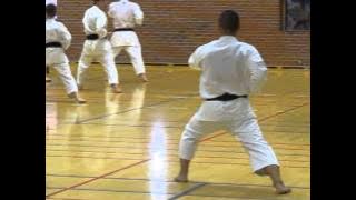 Kai-sensei leading the class through kata meikyo