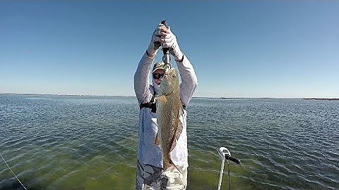 Redfish Love Wake Baits