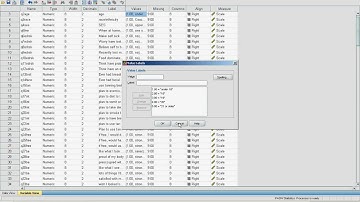 spss cleaning data.avi