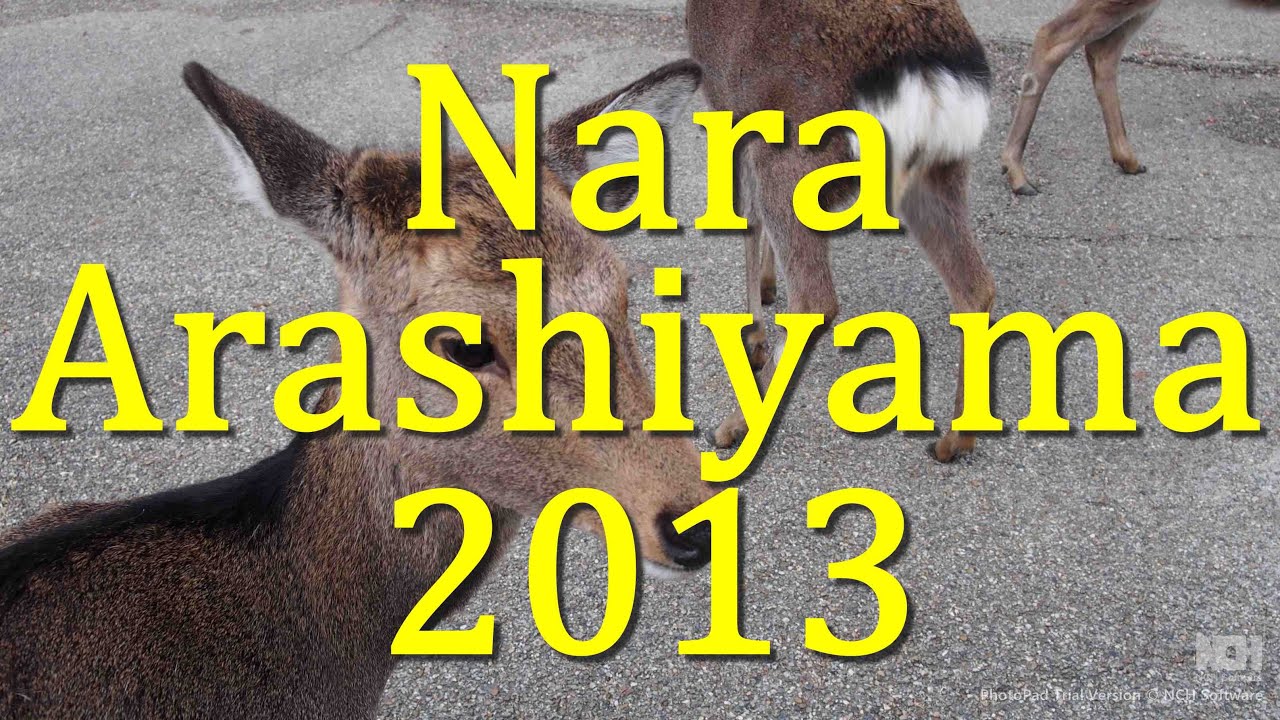 這些年 我們去過的地方（第六部）嵐山, 奈良 2013