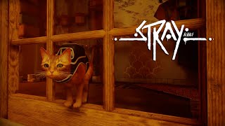 В поисках домов аутсайдеров. Нападение Зурков | STRAY #3