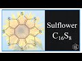 Molecular Structures and Names