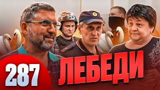 Смерть в операционной / Собака умерла в  ветклинике