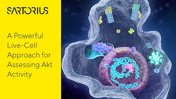 Webinar (Preview) Real-time visualization and quantification of Akt activity using live-cell imaging
