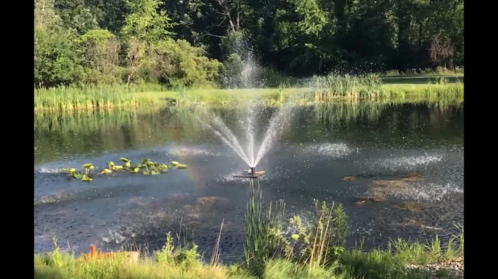 OldGuyDIY $600 Floating Pond Fountain 1/2HP 167 Gallons Per Minute 10,000 GPH 2" Trash Pump 120V 9A