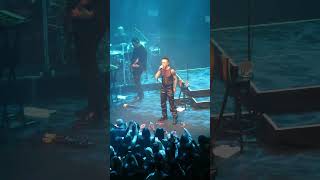 Mabel Matiz - Sarmaşık (Hollanda Konseri)