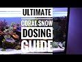 The Ultimate Coral Snow Dosing Guide for Stunning Reef Tanks 🌊