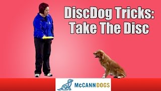Disc Dog Frisbee Tricks: Teach Your Dog To Take The Frisbee