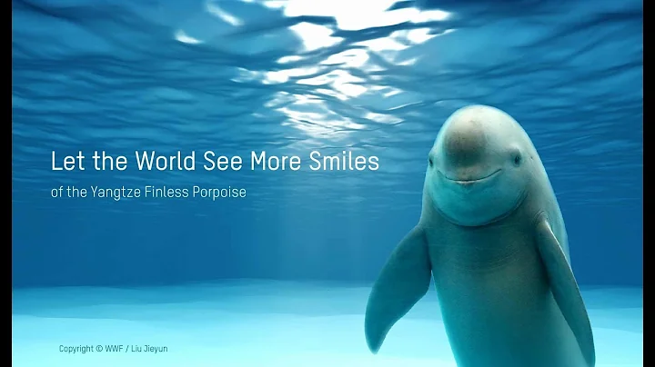 Aid for Smiling Angel - Hikvision Helps WWF and OPF Protecting Endangered Yangtze Finless Porpoise - DayDayNews