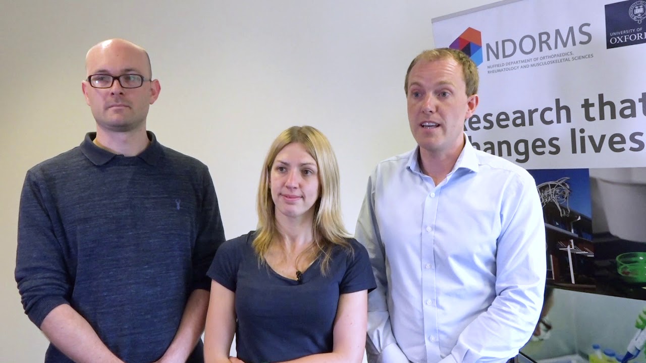 Unravelling the cellular blueprint of tendons with Chan Zuckerberg Initiative funding