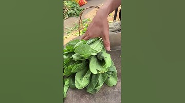 Radish Leaf Cutting Skills #agriculture #cuttingskills #amazing #shorts