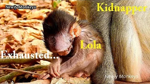 So pity Lola very very exhausted after stuck in hand kidnapper two hour