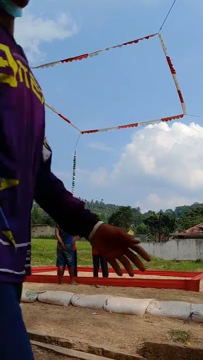 merpati kolong lampung