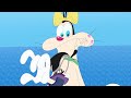 Oggy and the cockroaches  not so smart s07e16 best cartoon collection  new episodes in