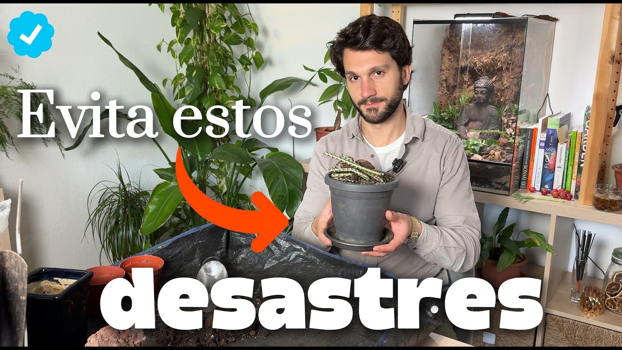 Trasplantar Cactus y demás....No siempre sale Bien