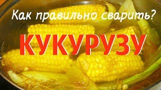 Сладкая Кукуруза!!! Варим правильно. Простой рецепт, но... со своими тонкостями!