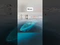 Abandoned places then vs now 😯.... #explore #trending #reels #scary #horror #memes #viral