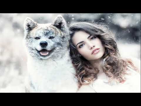 New Russian Music Mix 2017 Русская Музыка Best Club Music 5