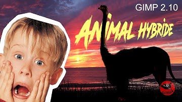 Gimp 2.10 : Combiner Deux Images