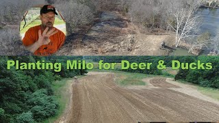 Planting Milo food plot grain sorghum for deer & waterfowl. Memorial Day in the outdoors!