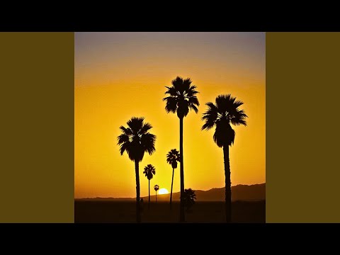 احلام الواحة