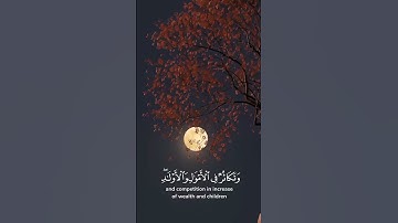 القارئ الشيخ سعد الغامدي (حالات واتس دينيه)🤍