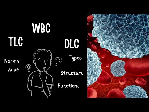 WBC (Leucocytes) ||