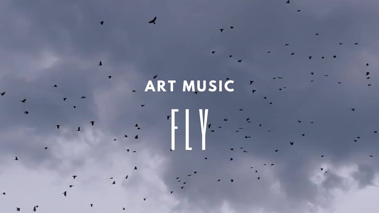 Fly | Instrumental Background Music Fly | Instrumental Background Music