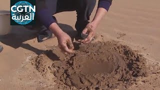 مخترع صيني يحول الرمال إلى تراب