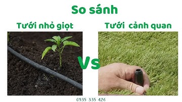So sánh tưới nhỏ giọt với tưới cảnh quan
