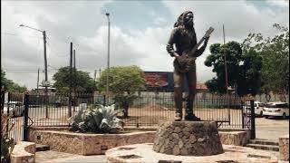 ETANA - KINGSTON TOWN (VISUALIZER)