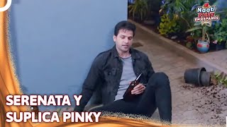 Dadan Se Emborrachó Y Llamó A La Puerta De Pinky  | Naati Pinky en Español Capítulo 25