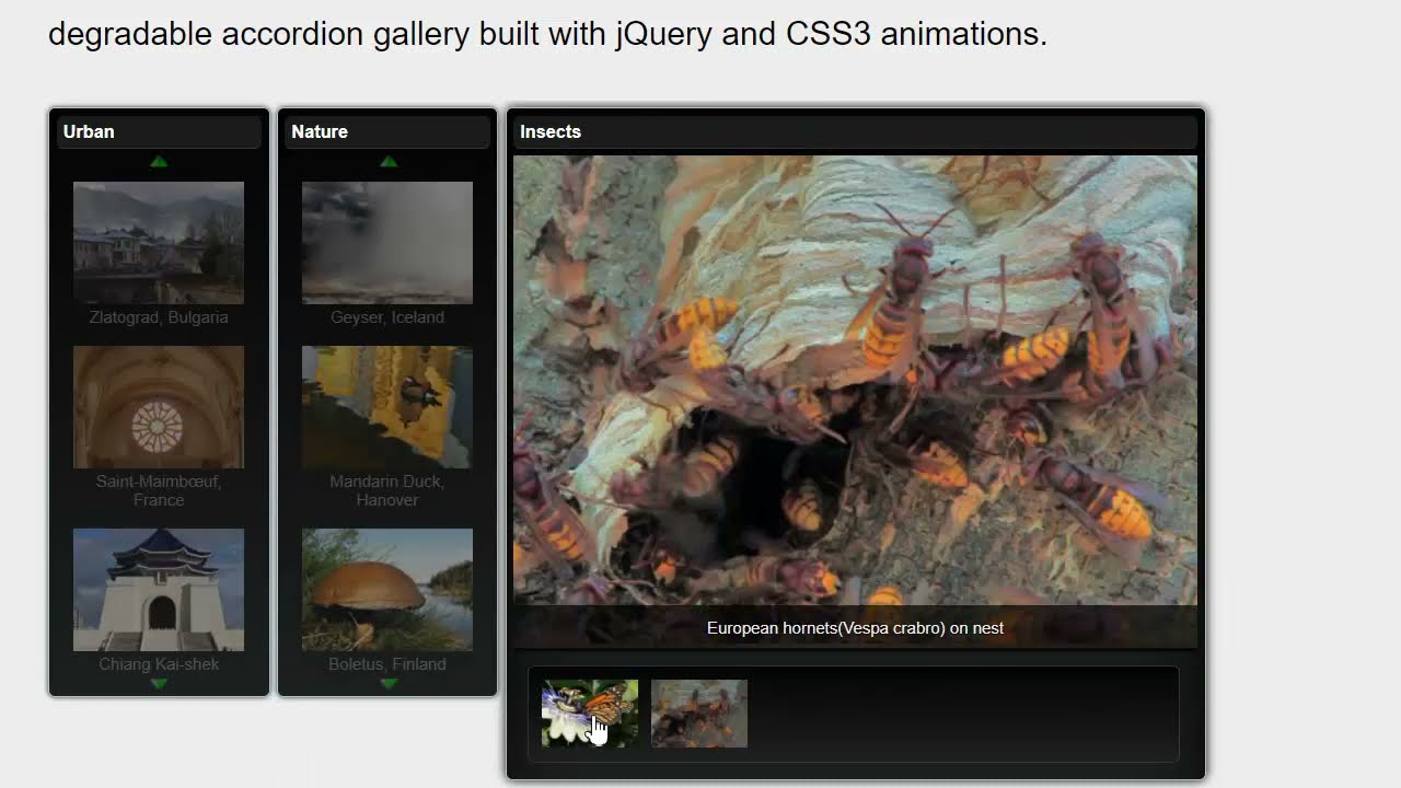 Accessible & SEO friendly Accordion Gallery In jQuery. YouTube