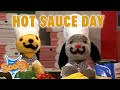 Hot sauce day     thesootyshowofficial  compilation   tv show for kids