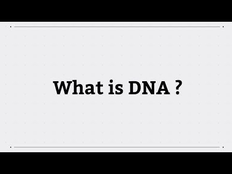 Видео: Өгүүлбэр дэх ДНХ гэж юу вэ?