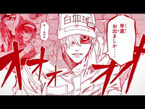 Hataraku Saibou