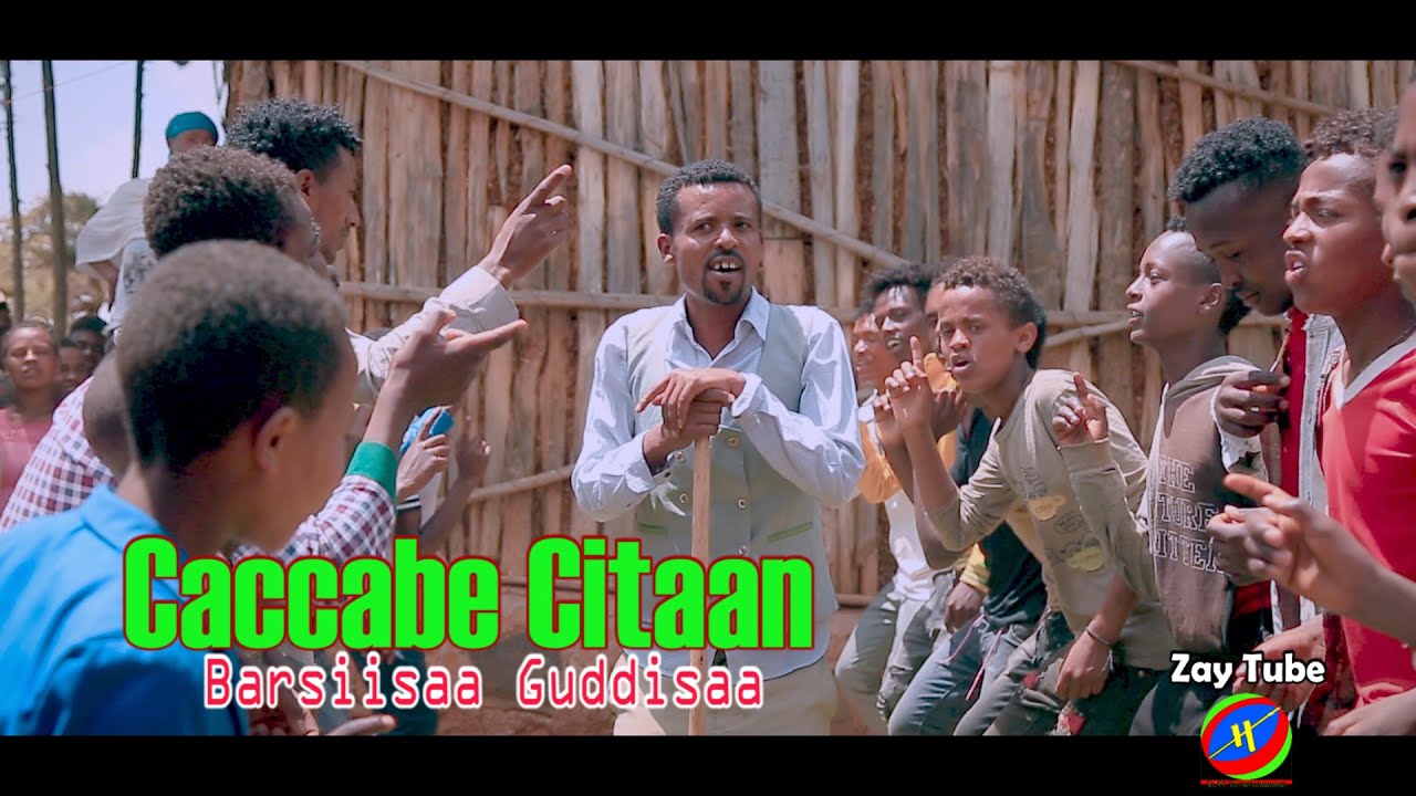 Barsiisaa Guddisaa   Caccabe Citaan   New Oromo music   2022