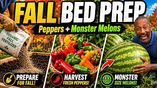 Fall Raised Bed Prep, Pepper Harvest & My Secret Giant Melons