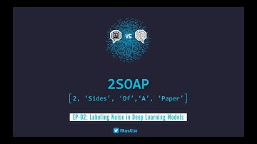 Labeling Noise in Deep Learning Models