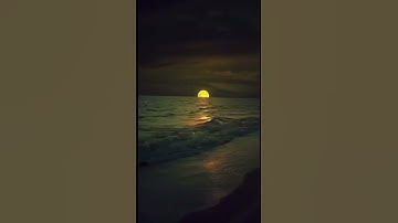 القارئ: الشيخ عبدالرحمن الدلالي #اكسبلور #اسلام #المصحف #قرآن #تيك_توك #لايك