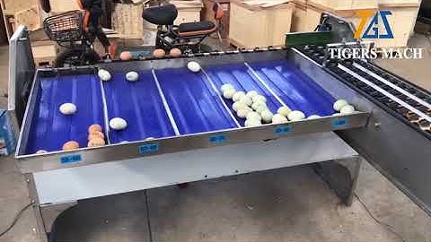 Egg grading machine, egg grader from egg cleaning and sorting line