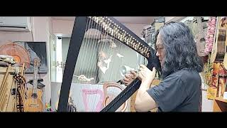 #대한민국하프의대중화 #백석대문화예술대학원 #크로스오버음악전공석사(켈틱하프) screenshot 5