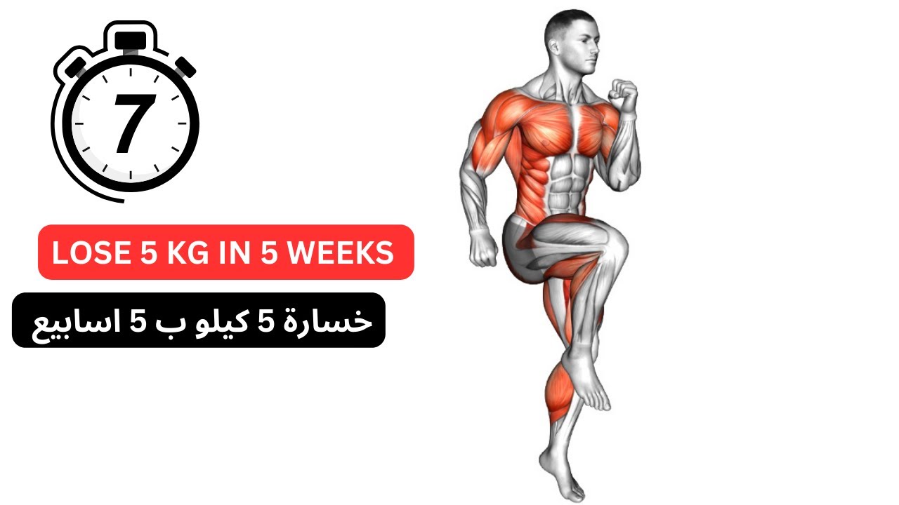LOSE 5KG IN 5 WEEKS FULL BODY FAT BURNING 5 YouTube lose-5kg-in-5-weeks-full-body-fat-burning-5-youtube