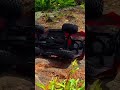 Remote Control Trail Truck Drive