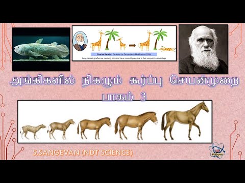 விஞ்ஞானம் தரம் 9|அங்கிகளில் நிகழும் கூர்ப்பு செயன்முறை | வாழும் உயிர்சுவடு|கூர்ப்பின் முக்கியத்துவம்