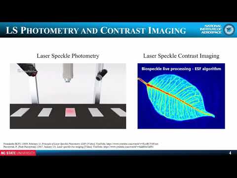 Video: Kesan Hemodinamik Pentadbiran Anestetik Intraoperatif Dalam Model Strok Fototrombotik: Kajian Menggunakan Pencitraan Speckle Laser